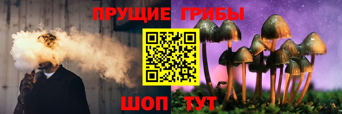 Галлюциногенные грибы прущие грибы  Вход с VPN  Алексеевка  Псилоцибиновые грибы GOLDEN TEACHER 
